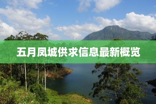 五月凤城供求信息最新概览