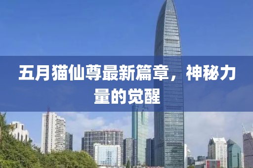 五月猫仙尊最新篇章，神秘力量的觉醒