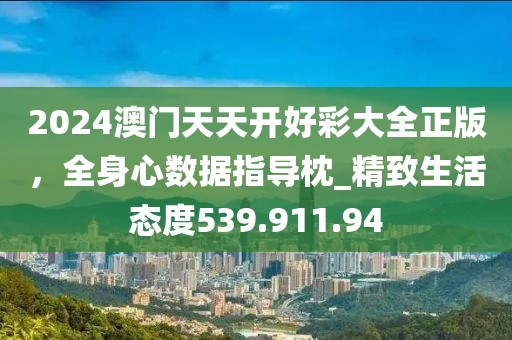 2024澳门天天开好彩大全正版，全身心数据指导枕_精致生活态度539.911.94