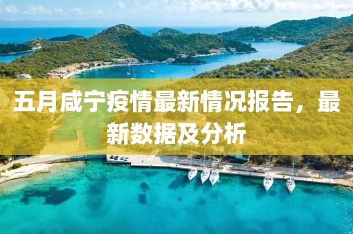 五月咸宁疫情最新情况报告，最新数据及分析