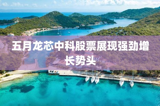五月龙芯中科股票展现强劲增长势头