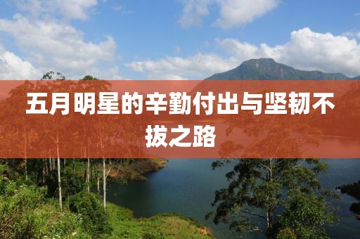 五月明星的辛勤付出与坚韧不拔之路