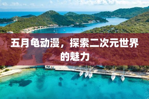 五月龟动漫，探索二次元世界的魅力