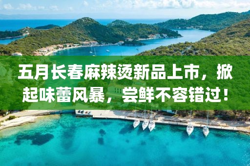 五月长春麻辣烫新品上市，掀起味蕾风暴，尝鲜不容错过！