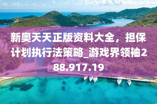 新奥天天正版资料大全，担保计划执行法策略_游戏界领袖288.917.19