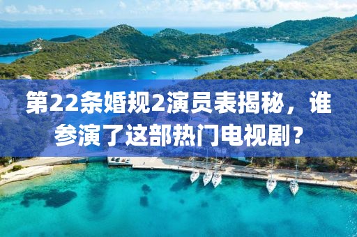第22条婚规2演员表揭秘，谁参演了这部热门电视剧？