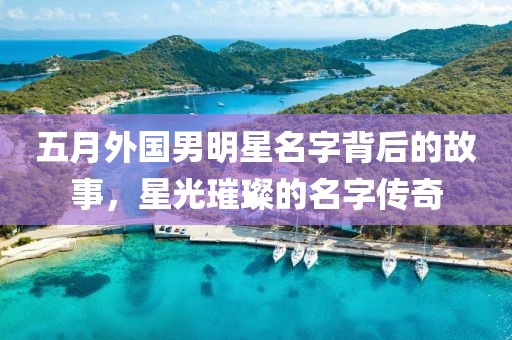 五月外国男明星名字背后的故事，星光璀璨的名字传奇