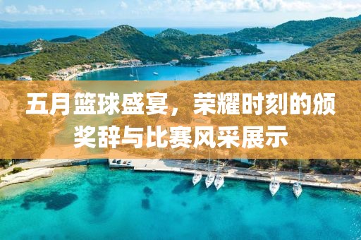 五月篮球盛宴，荣耀时刻的颁奖辞与比赛风采展示
