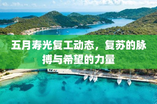五月寿光复工动态，复苏的脉搏与希望的力量
