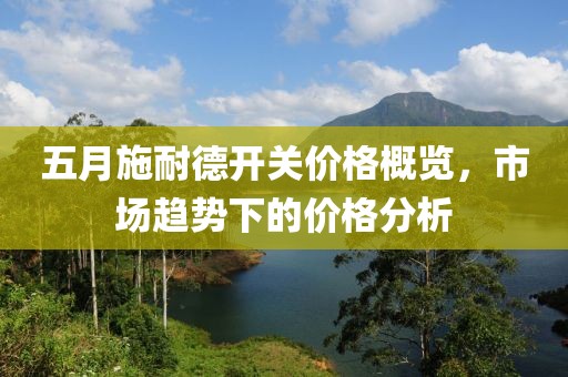 五月施耐德开关价格概览，市场趋势下的价格分析