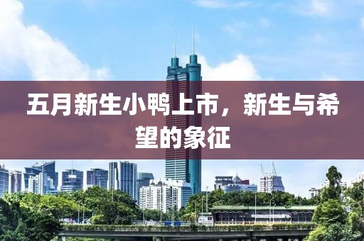 五月新生小鸭上市，新生与希望的象征