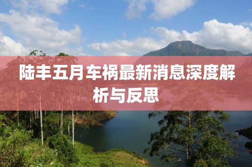 陆丰五月车祸最新消息深度解析与反思