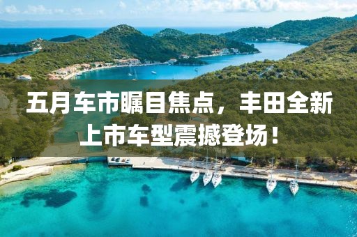 五月车市瞩目焦点，丰田全新上市车型震撼登场！