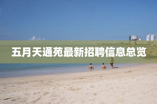 五月天通苑最新招聘信息总览