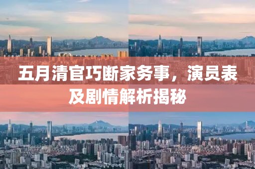 五月清官巧断家务事，演员表及剧情解析揭秘
