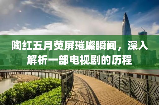 陶红五月荧屏璀璨瞬间，深入解析一部电视剧的历程