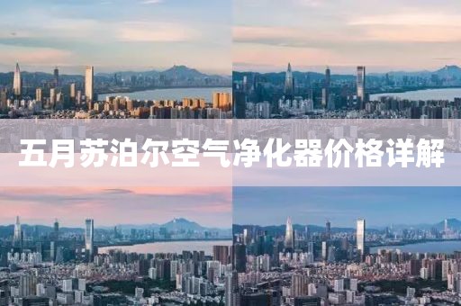 五月苏泊尔空气净化器价格详解