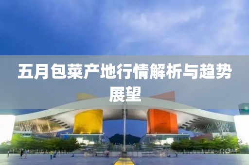五月包菜产地行情解析与趋势展望