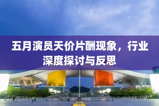 五月演员天价片酬现象，行业深度探讨与反思