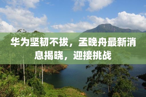 华为坚韧不拔，孟晚舟最新消息揭晓，迎接挑战