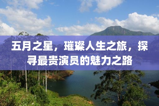 五月之星，璀璨人生之旅，探寻最贵演员的魅力之路