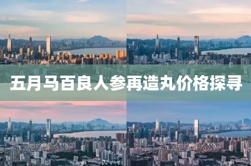 五月马百良人参再造丸价格探寻