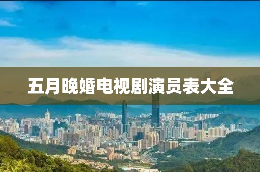 五月晚婚电视剧演员表大全