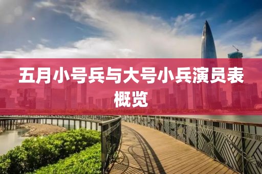 五月小号兵与大号小兵演员表概览