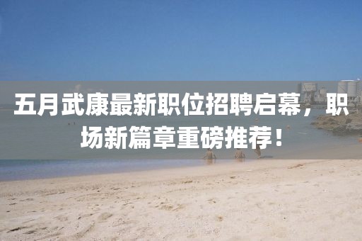 五月武康最新职位招聘启幕，职场新篇章重磅推荐！
