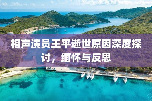 相声演员王平逝世原因深度探讨，缅怀与反思