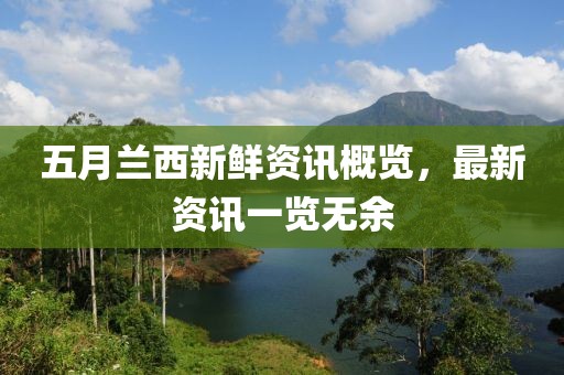 五月兰西新鲜资讯概览，最新资讯一览无余