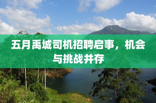五月禹城司机招聘启事，机会与挑战并存