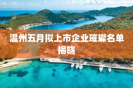 温州五月拟上市企业璀璨名单揭晓