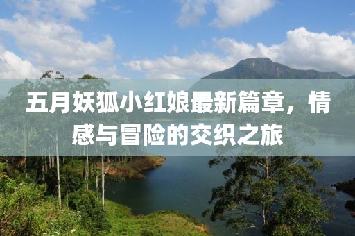 五月妖狐小红娘最新篇章，情感与冒险的交织之旅