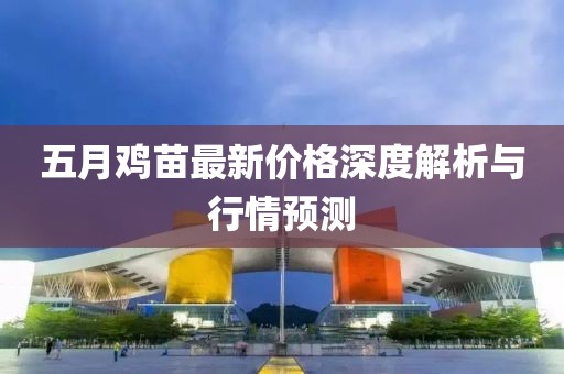 五月鸡苗最新价格深度解析与行情预测