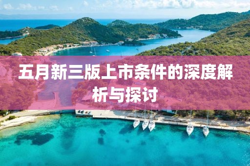 五月新三版上市条件的深度解析与探讨