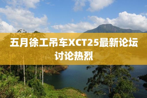 五月徐工吊车XCT25最新论坛讨论热烈