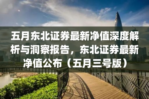 五月东北证券最新净值深度解析与洞察报告，东北证券最新净值公布（五月三号版）