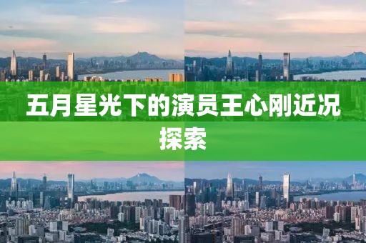 五月星光下的演员王心刚近况探索