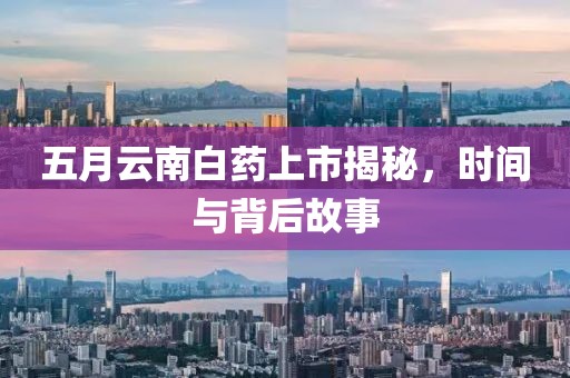 五月云南白药上市揭秘，时间与背后故事