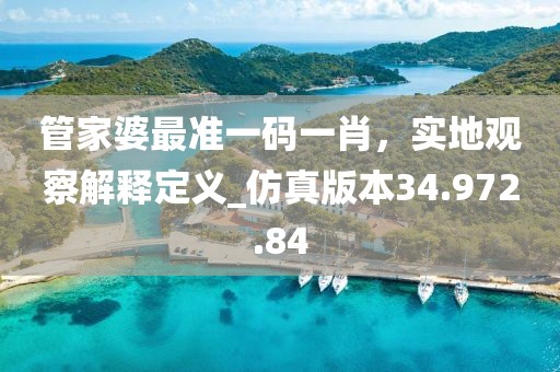 管家婆最准一码一肖，实地观察解释定义_仿真版本34.972.84