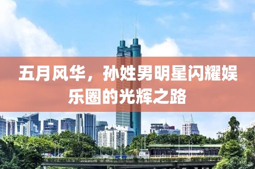 五月风华，孙姓男明星闪耀娱乐圈的光辉之路
