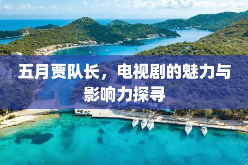 五月贾队长，电视剧的魅力与影响力探寻