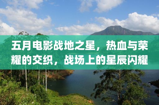 五月电影战地之星，热血与荣耀的交织，战场上的星辰闪耀