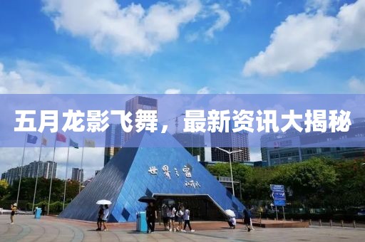五月龙影飞舞，最新资讯大揭秘