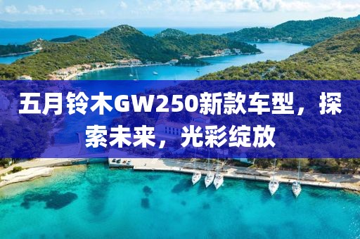 五月铃木GW250新款车型，探索未来，光彩绽放