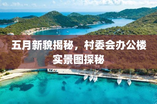 五月新貌揭秘，村委会办公楼实景图探秘