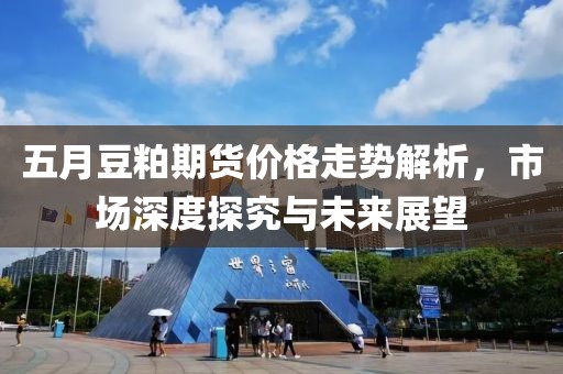 五月豆粕期货价格走势解析，市场深度探究与未来展望