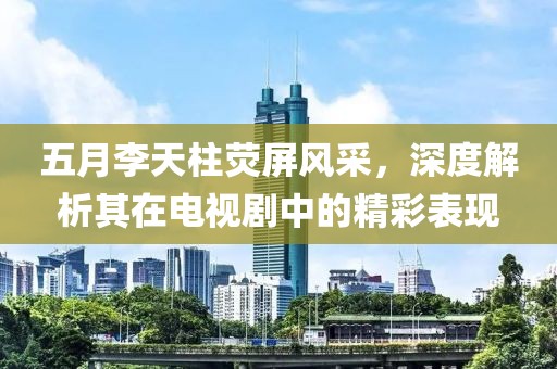 五月李天柱荧屏风采，深度解析其在电视剧中的精彩表现