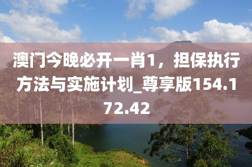 澳门今晚必开一肖1，担保执行方法与实施计划_尊享版154.172.42